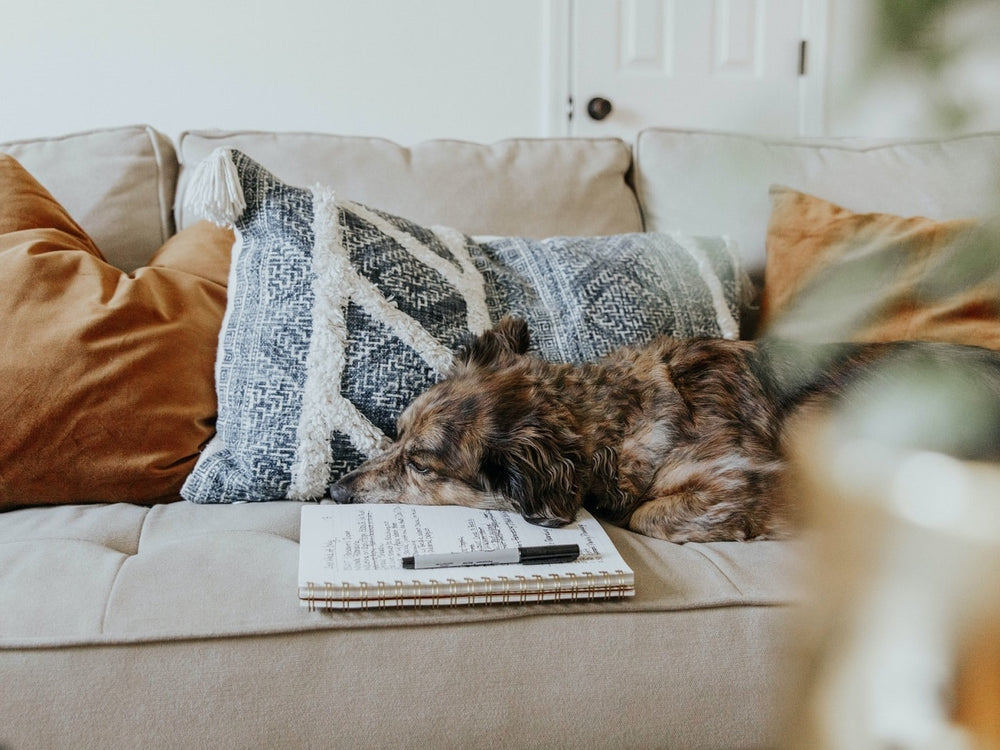 Sur quels critères se baser pour un canapé confortable ?